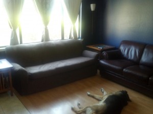 livingroomdaytime