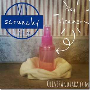 Scrunchy: Toy cleaner made from essential oils like doTerra and Young Living! | found on oliverandtara.com