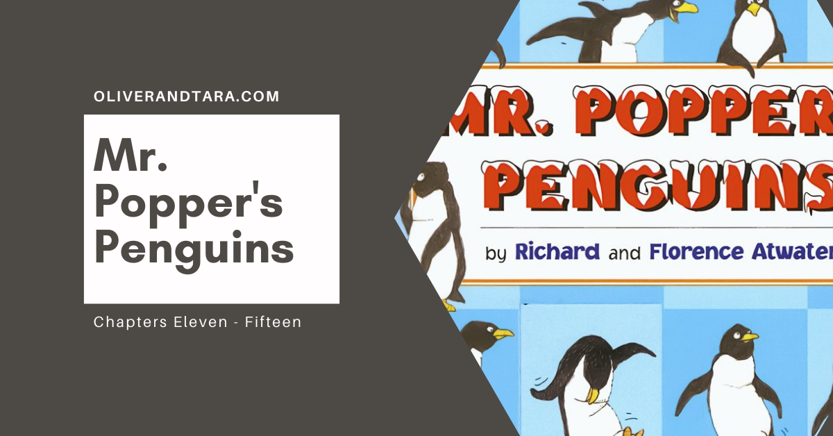 Mr. Popper's Penguins11-15 - activities and videos! | oliverandtara.com